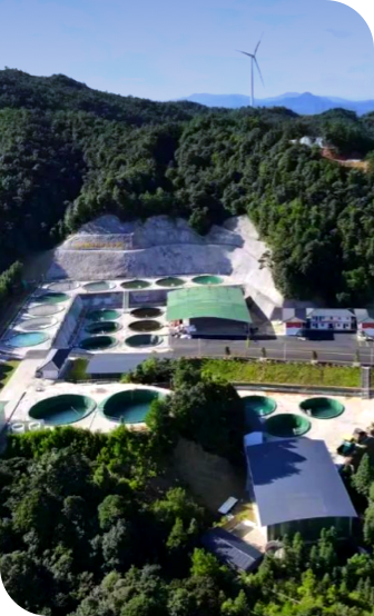 614e48134bd246bf96e8678e33a99375